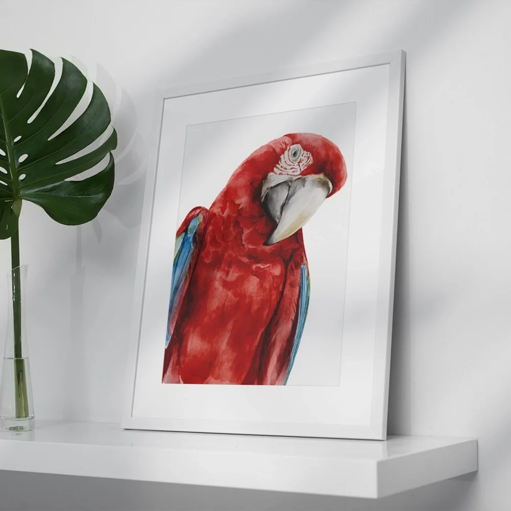 Red Macaw Parrot Watercolor Wall Art Print Poster Unframed - Picture 4 of 9